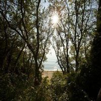 балнеолечебни пакети - 60691 вида