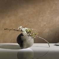 декоративни бои за стени - 6749 типа