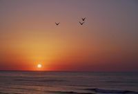 спа процедури - 47252 предложения