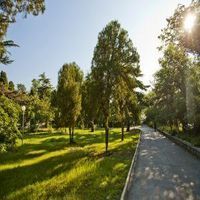 спа процедури - 69583 новини