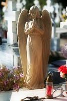 транспортиране на покойник - 84080 новини