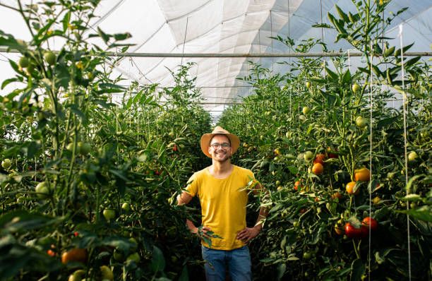 земеделец - 83553 промоции